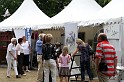 Ascot Renntag09   125
